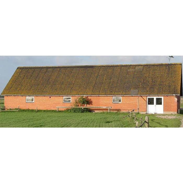 Algebehandling af tag fra Hvide Sande Tagrens